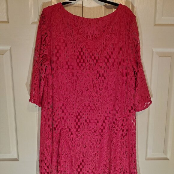 NWT Rabbit Rabbit Rabbit Raspberry Lace 3/4 Sleeve Dress Size 22W Lined - Picture 2 of 7